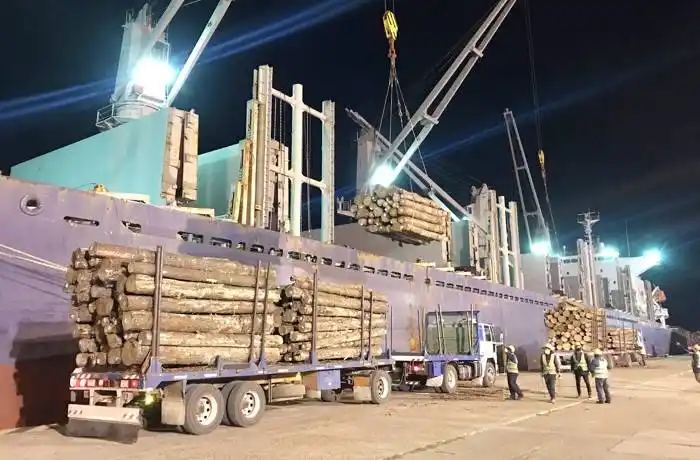 Los puertos entrerrianos completan una nueva exportación de madera