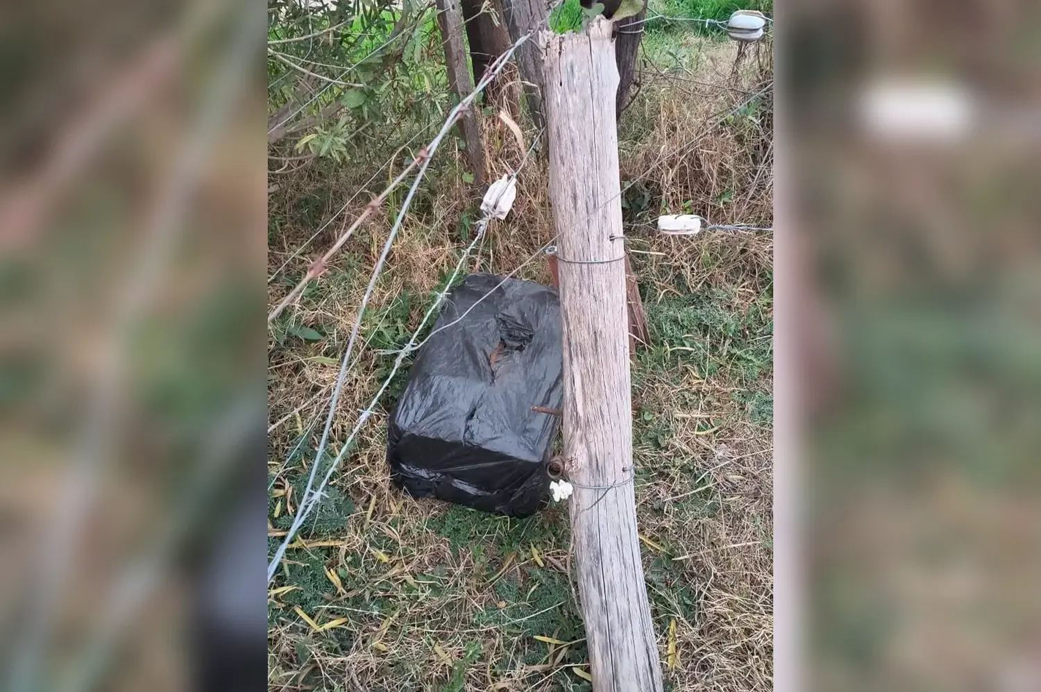 “Apareció” entre pastizales una consola de sonido robada meses atrás en la región