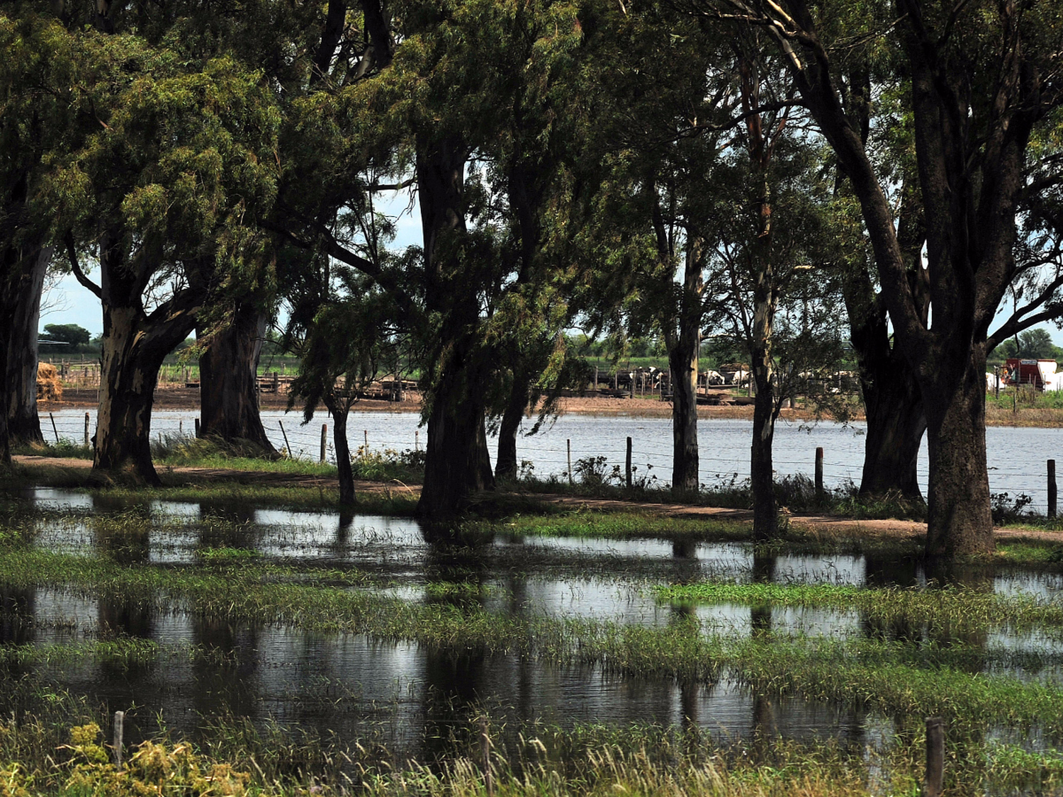 Morteros exime  de impuestos a  campos inundados 