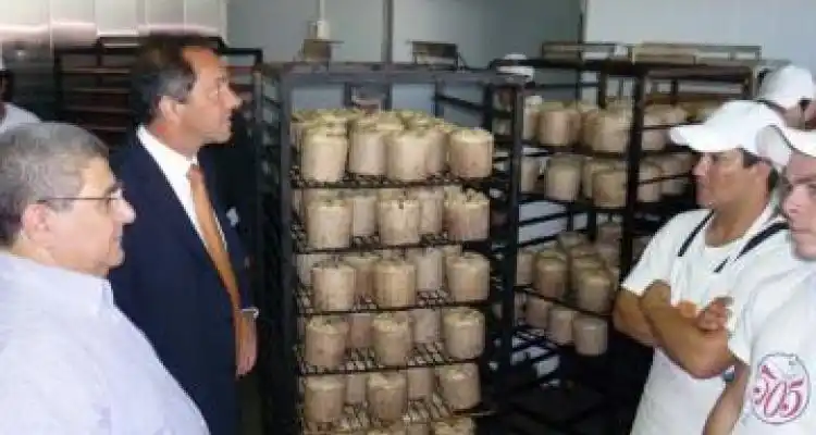 LLegó Scioli y visitó la Panificadora 505