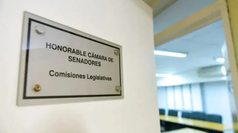 Reforma jubilatoria: Rodríguez Signes fue convocado por el Senado