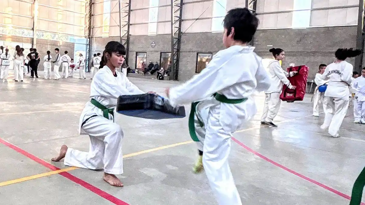 Escuela Municipal de Taekwondo
