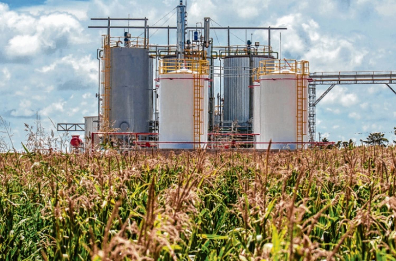 Una planta de Biocombustibles