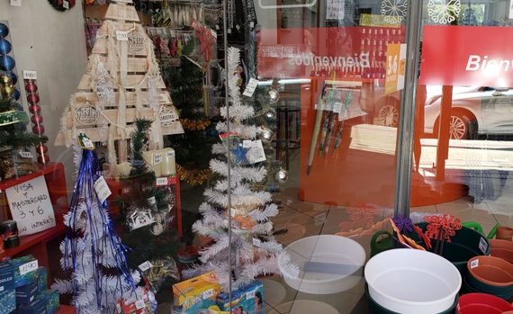 A días de Navidad, se consiguen en la ciudad arbolitos completos entre 2 mil y 25 mil pesos