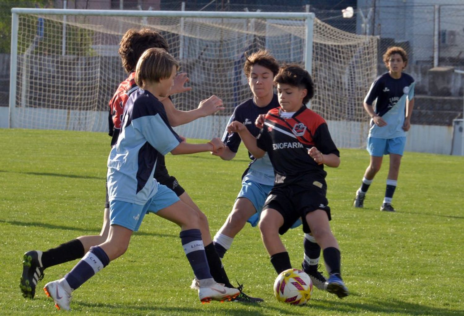 Las categorías más chicas también tienen su fixture