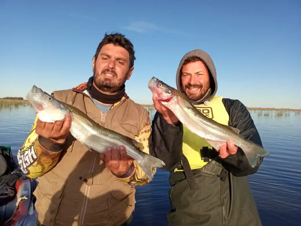 Chascomunenses por lagunas de la zona: Excelente pesca de pejerrey en el pesquero Las Barrancas de Lezama