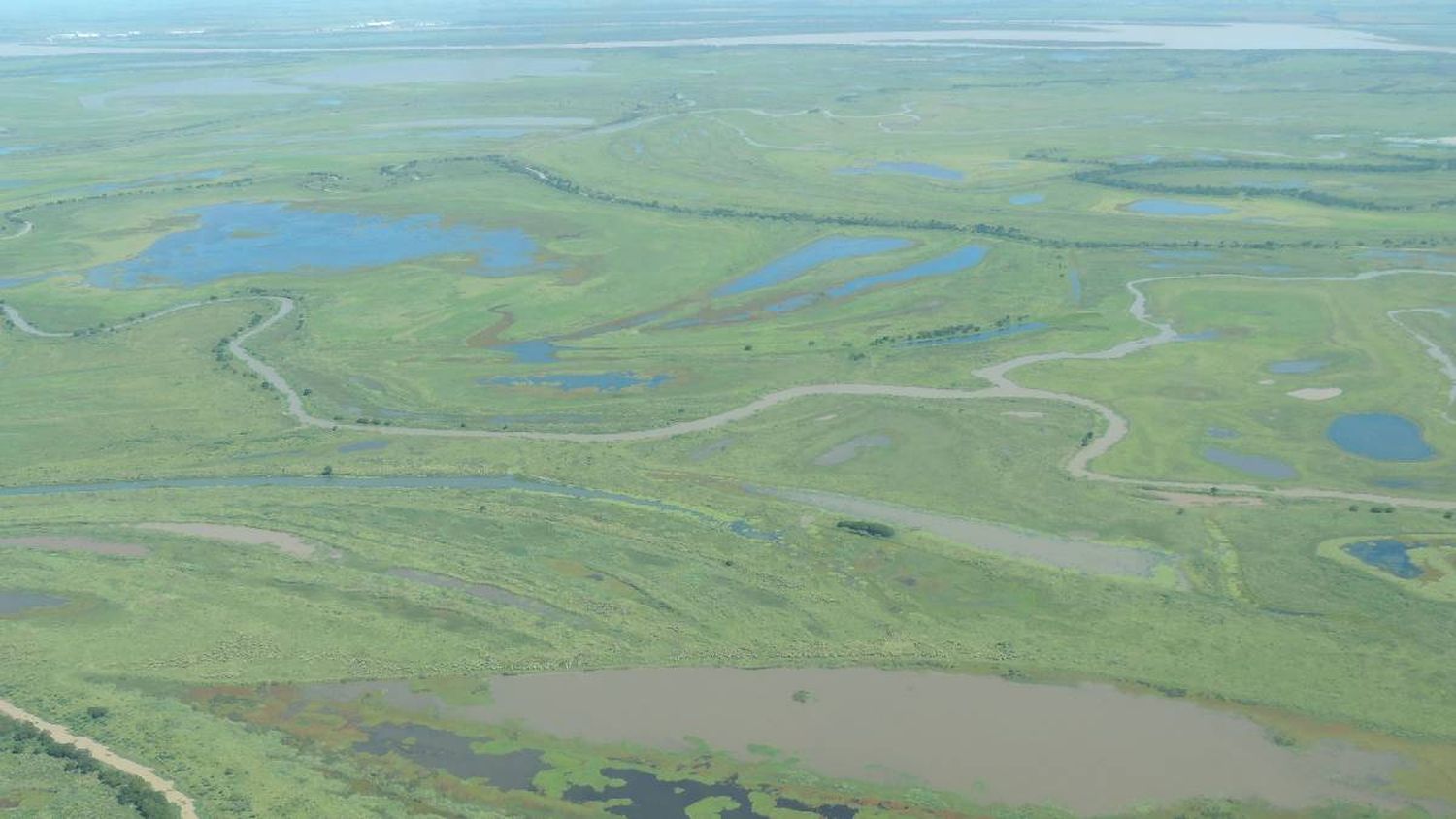 La Justicia Federal prohibió el uso de agroquímicos en 250.000 hectáreas de islas del Paraná