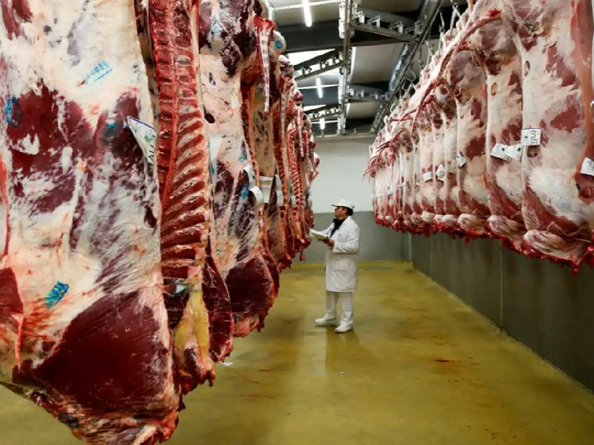 Exportaciones de carne: restricciones hasta 2023  