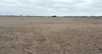 Preocupa la falta de lluvias en el centro-oeste santafesino: al campo le faltan 250 milímetros