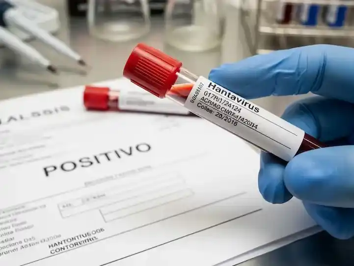 Hantavirus en Argentina: la letalidad alcanzó un récord histórico en la temporada 2025-2026