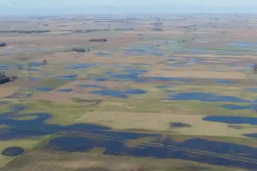 Inundaciones: peligra el 25% de la agricultura y el 26% de la ganadería