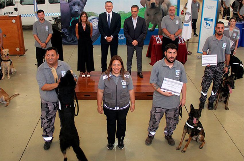 Qué raza de perros usa la Aduana para sus controles