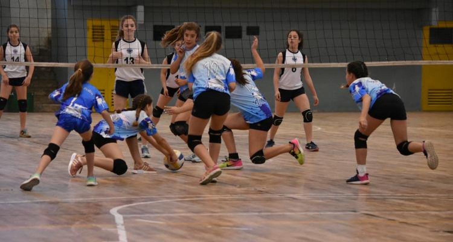 Saldo positivo para el Celeste en la Asociación Nicoleña