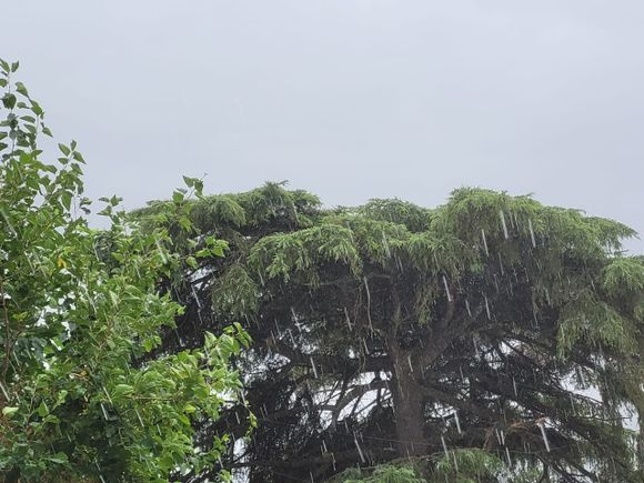 Vuelve el calor: lunes con 40 ºC y después regresan las lluvias y tormentas