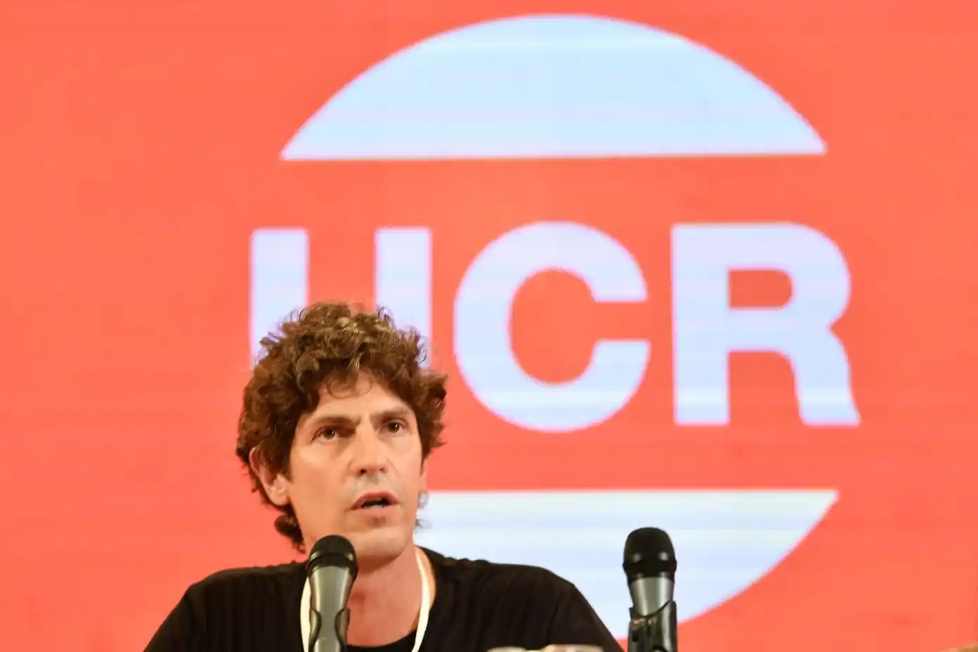 Lousteau es el nuevo presidente de la UCR y el partido se desmarca de la gestión Milei