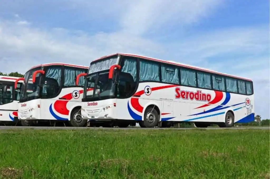 Preocupa la caída de empresas interurbanas que dejan de operar en Santa Fe