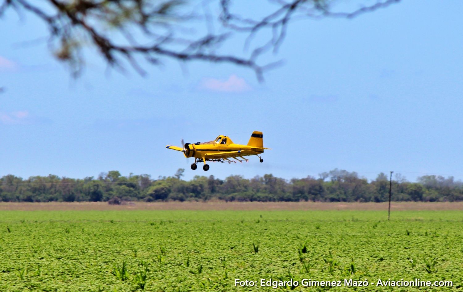 La flota de aviación agrícola en Brasil superó las 2.700 aeronaves