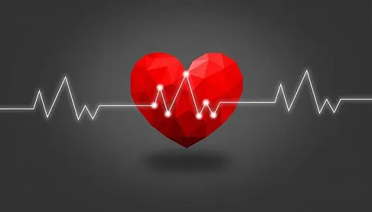 CORAZÓN DE LABORATORIO: el primero en el mundo
