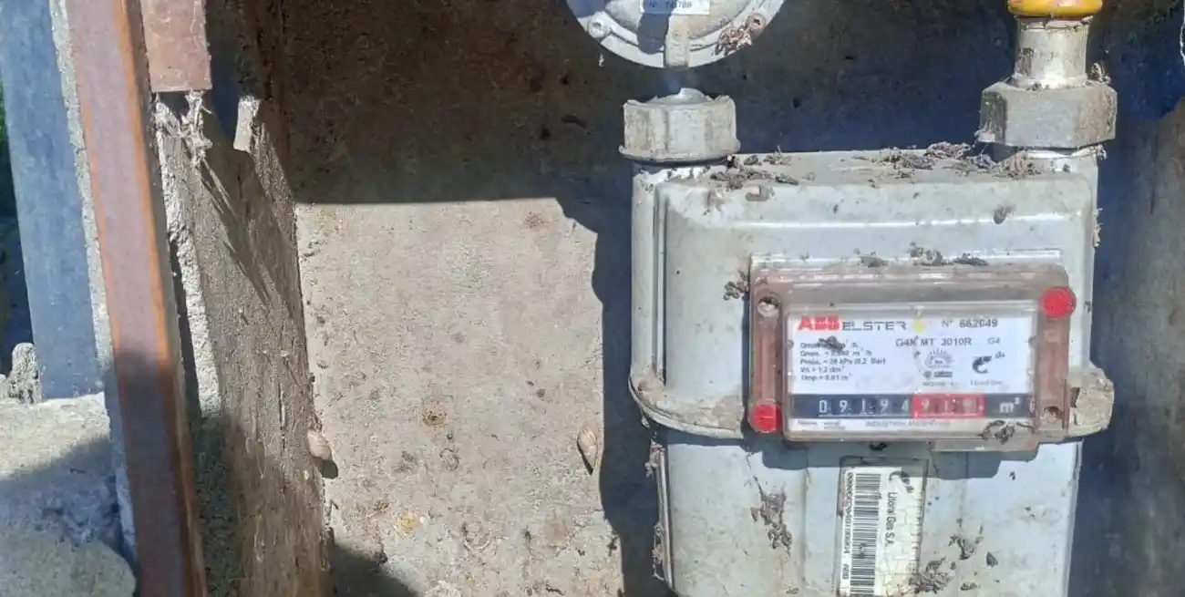 Se robaron hasta los caños de las cabinas del gas y los vecinos están escandalizados