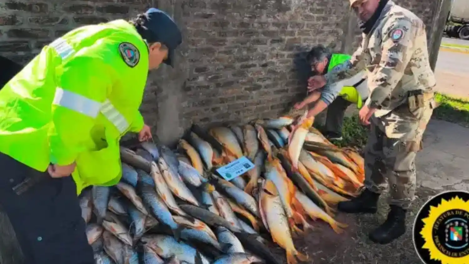 Interceptaron un cargamento ilegal con 190 piezas de pescado en el Puesto de Control de Brazo Largo