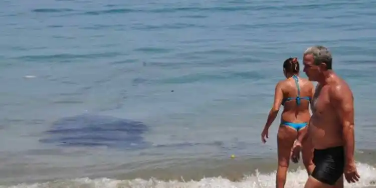 ¿A DÓNDE VAMOS A PARAR? Avistan manchas de petróleo en Catia La Mar