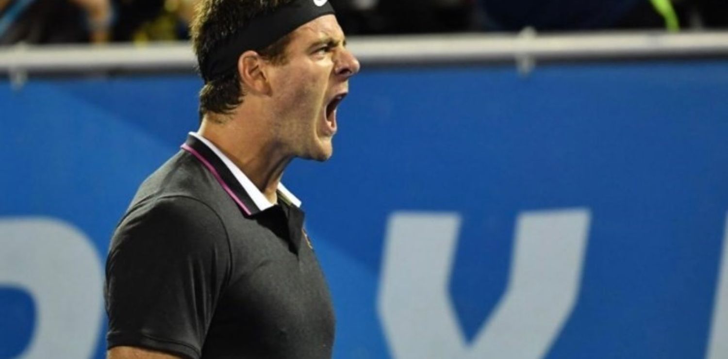 Victoria de Del Potro en su regreso al circuito