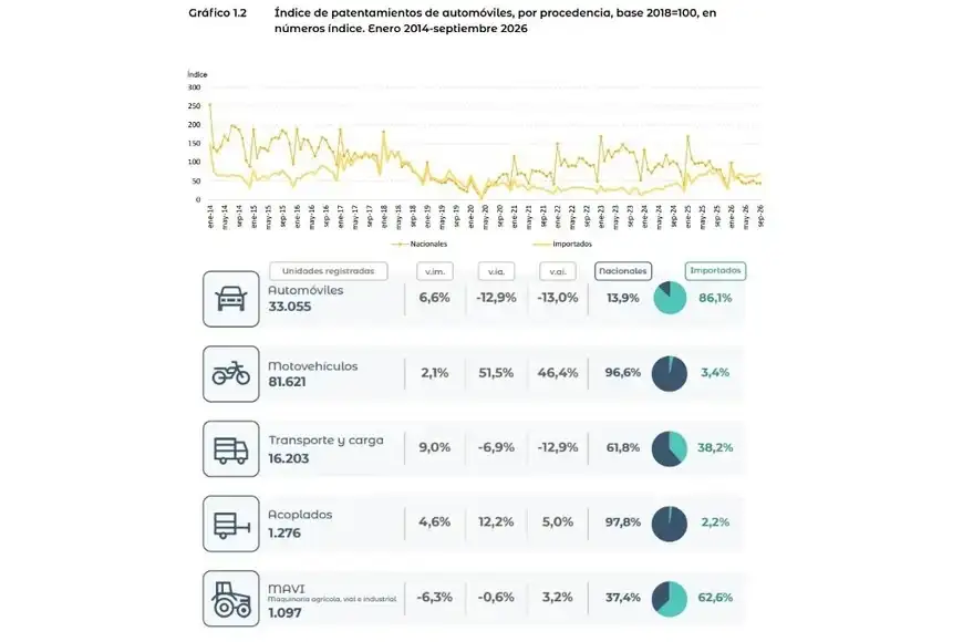 La transformación del mercado automotor argentino que exponen los últimos datos del INDEC - 3