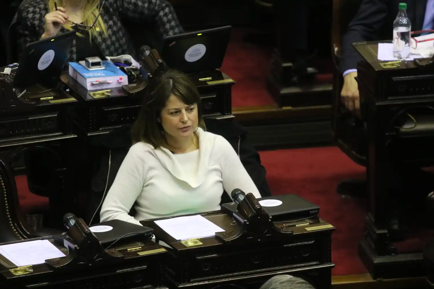 Gaillard le recriminó a Macri no reglamentar aún la Ley de Cannabis Medicinal