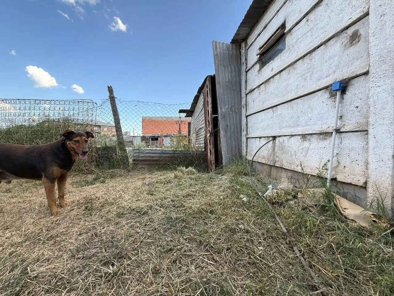 tarraubella agua 04-01-26 - 3