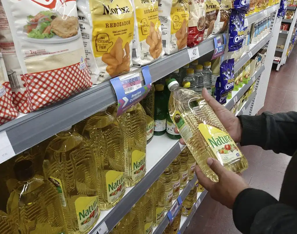 Casi un cuarto del gasto en los hogares se destina a alimentos, según el Indec