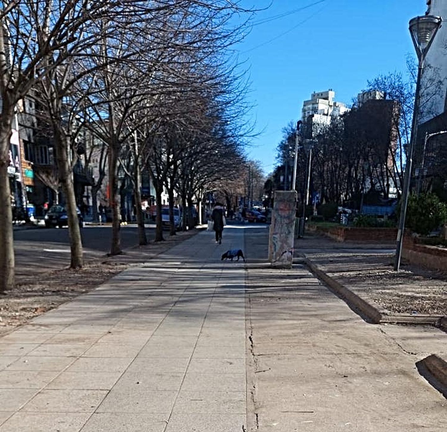 Así quedó la zona ya sin estructuras.