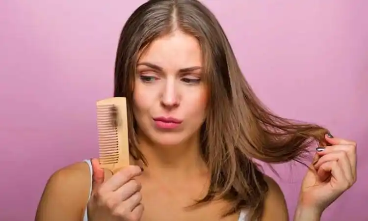 Investigadores argentinos miden el estrés con muestras de cabello