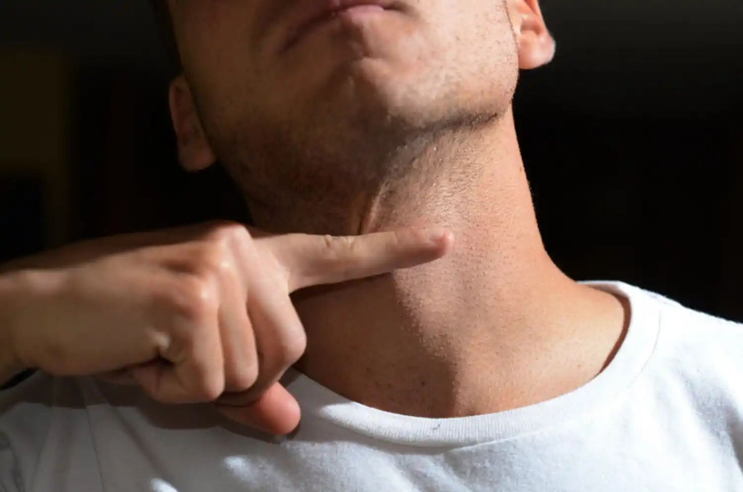 DISCUTIÓ CON SU MAMÁ y amenazó con cortarle el cuello: el sujeto está preso, en Monagas