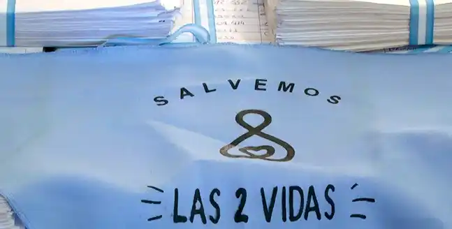 Aborto: En Casa de Gobierno entregaron 65 mil firmas a favor de las "dos vidas"