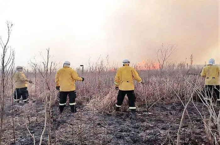 El Gobierno provincial declaró la emergencia ambiental por los  incendios en el delta entrerriano