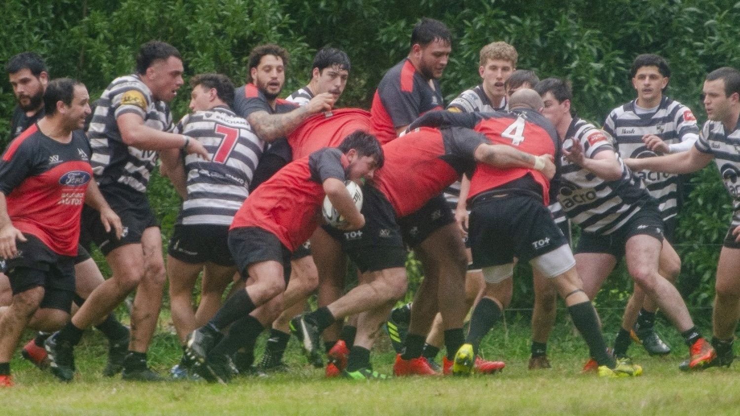 Rugby: balance positivo para Tiburones en el Torneo Desarrollo