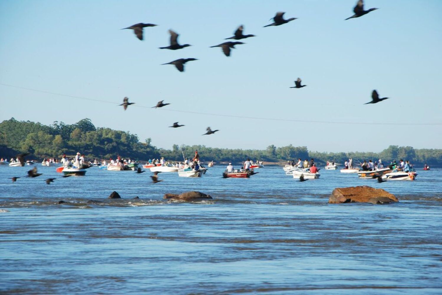 “Trigésima primera edición de la Fiesta Nacional Pesca de la Boga”