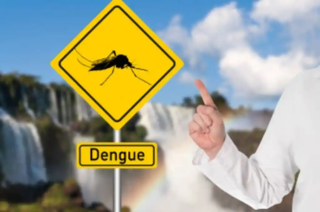 Misiones confirmó 300 casos positivos de dengue