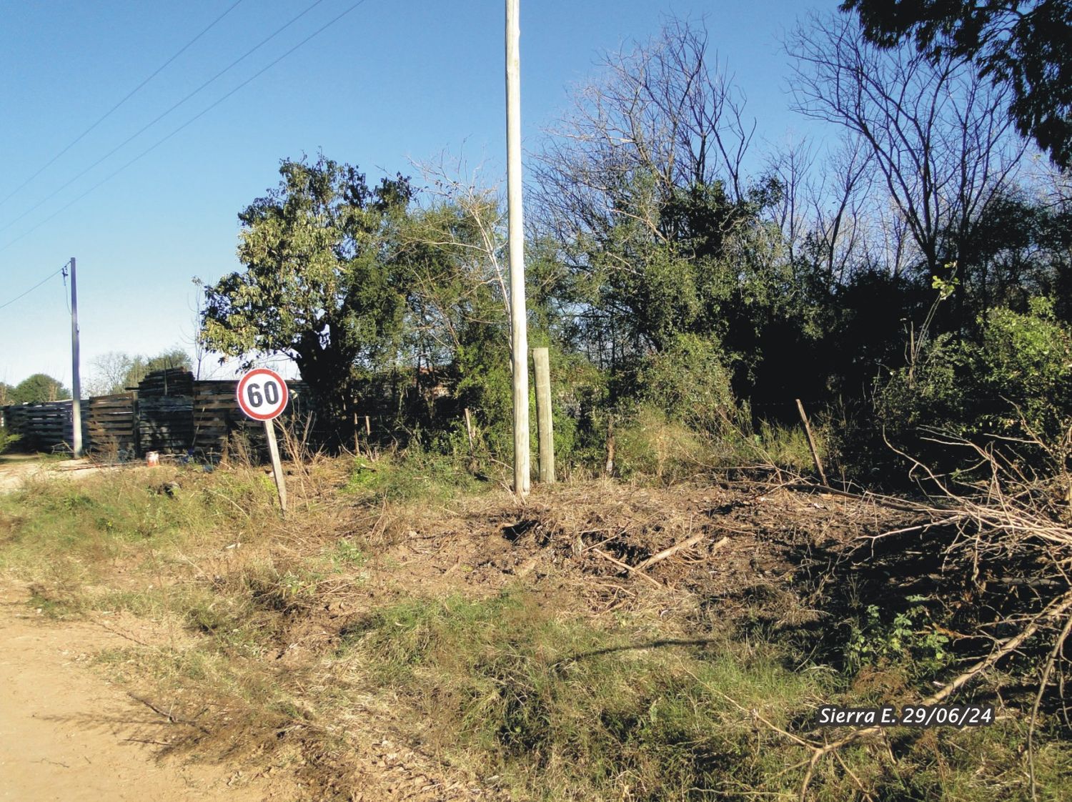 desmonte nativas vuelta de obligado