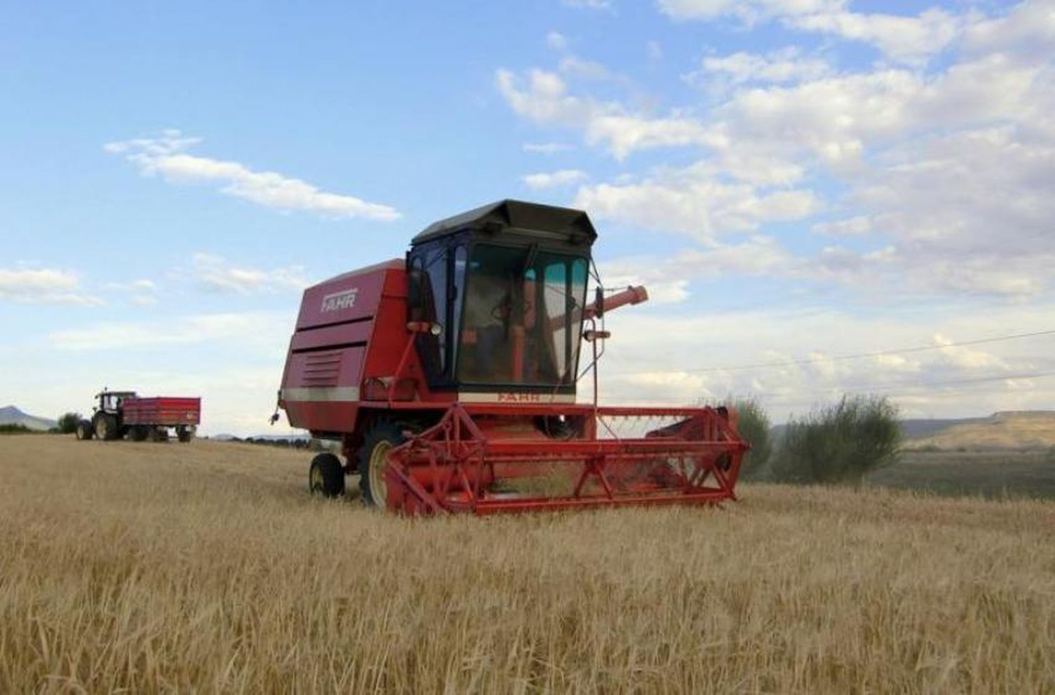 Aumento de retenciones al campo: "En nuestro país, el Estado es la única empresa creciente"