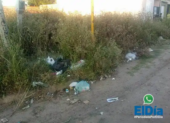 #PeriodistaPorElDía: Microbasurales que crecen como el pasto 