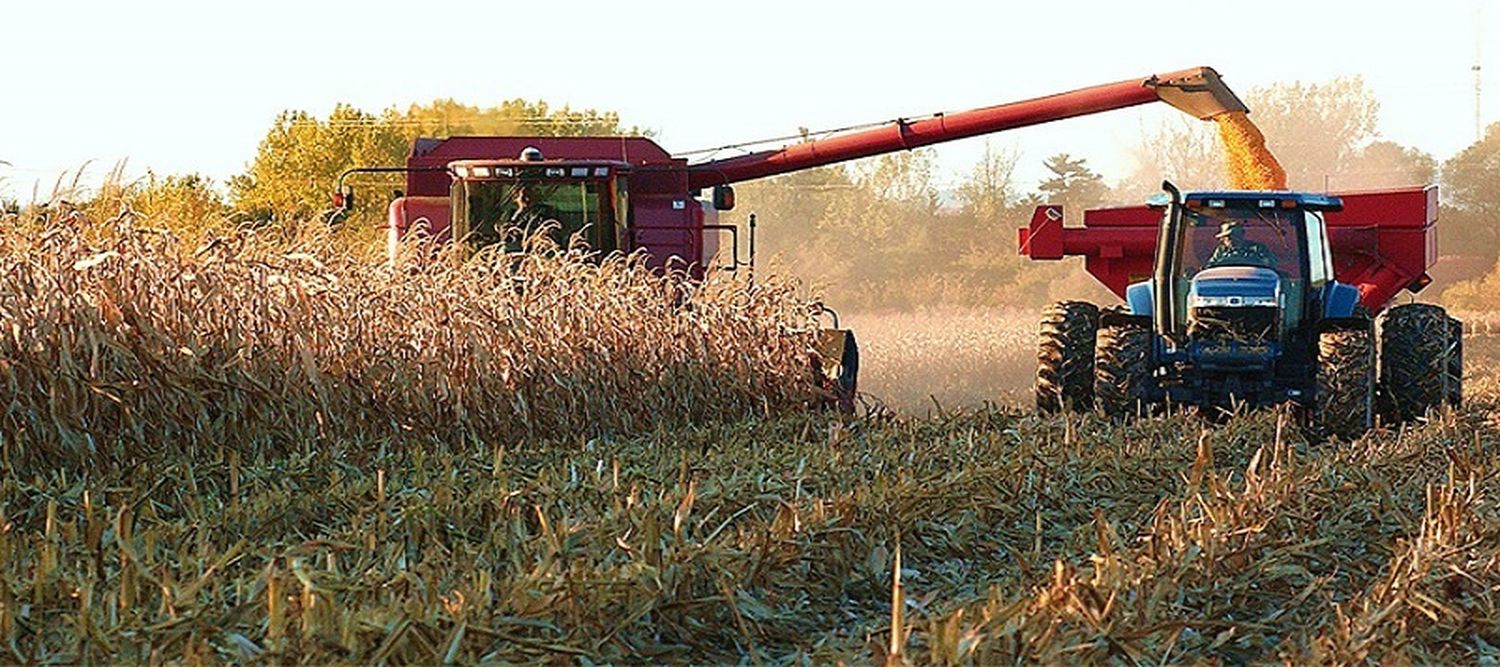 La Federación Agraria y la Confederación de Rurales se pronunciaron sobre la baja momentánea de retenciones