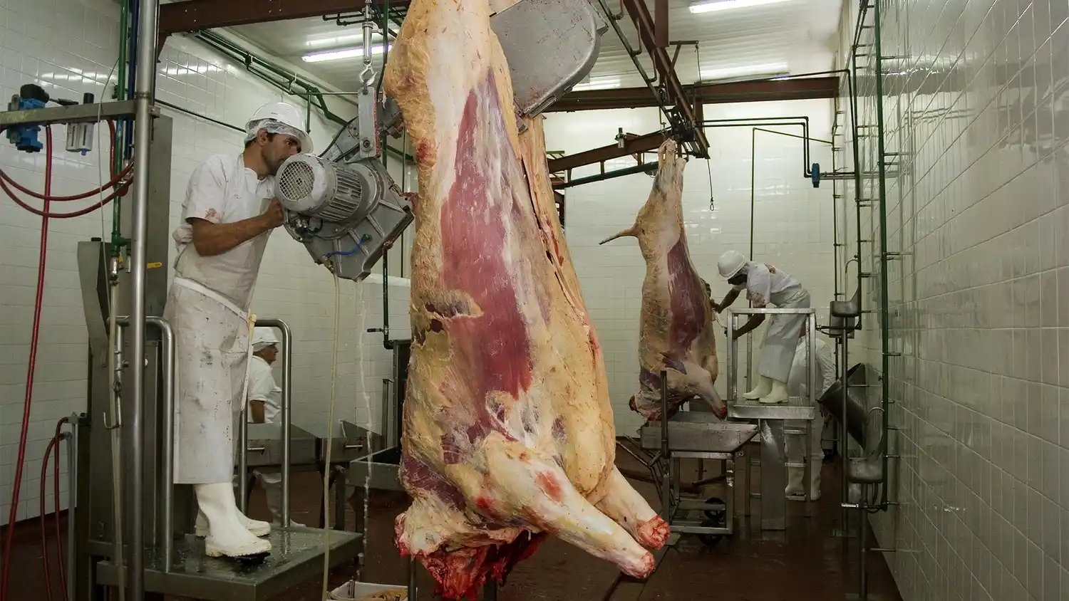 El Gobierno nacional modificó el sistema de tipificación de carne vacuna