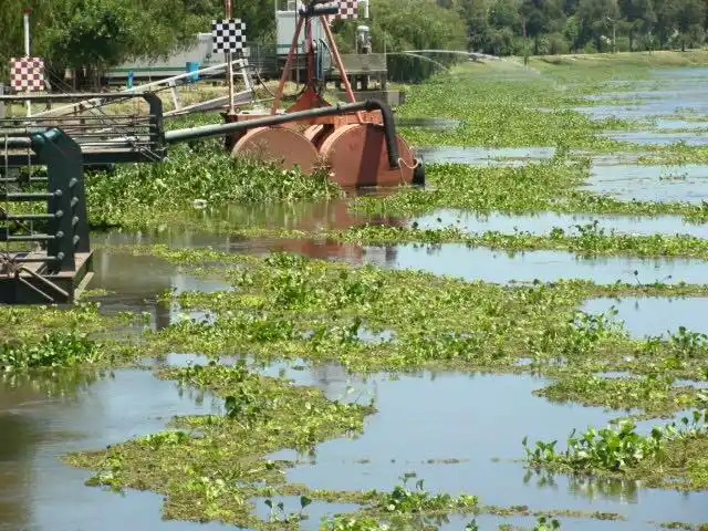 Creciente: Baradero en alerta y preparado para recibir evacuados