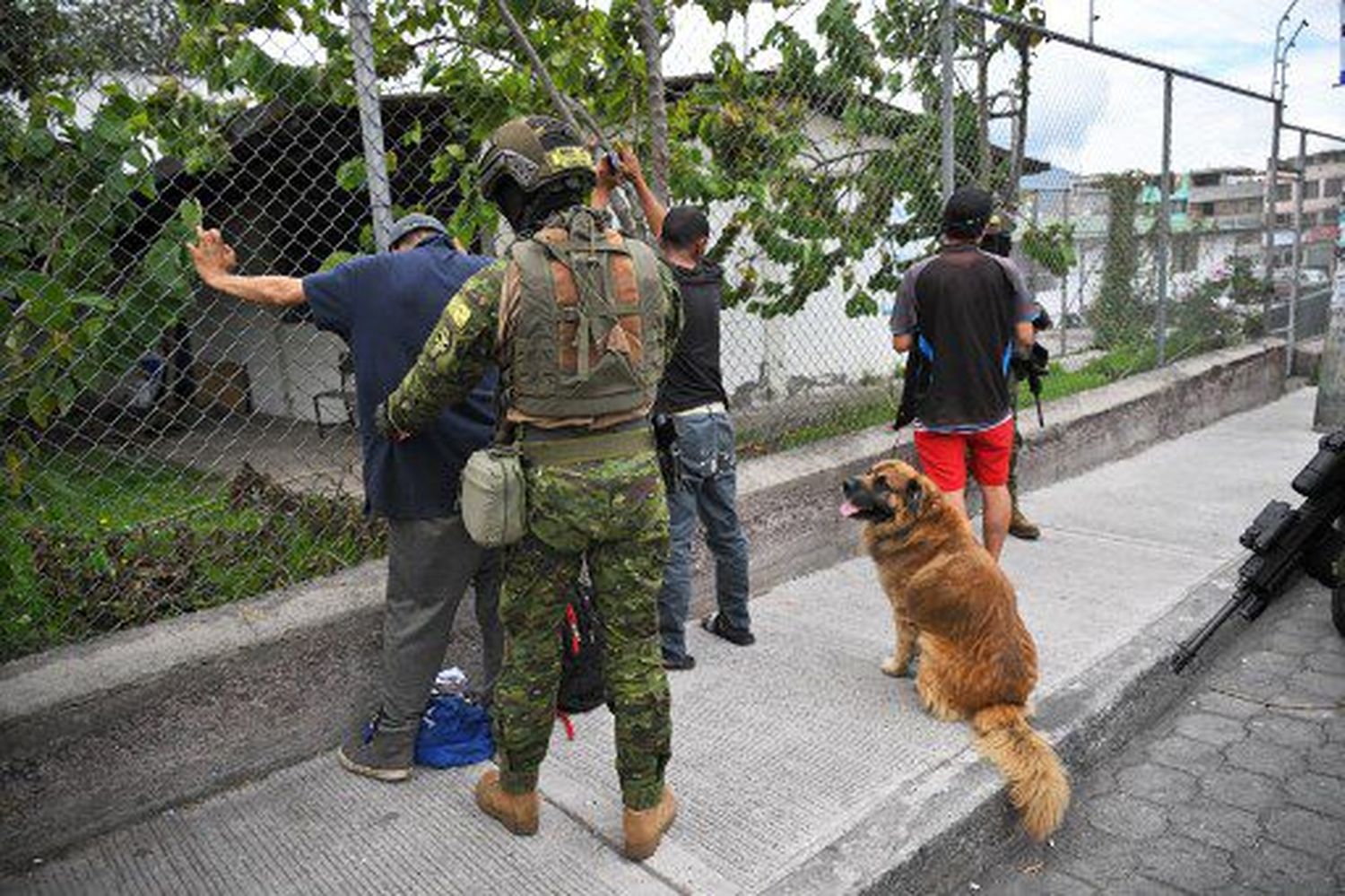 ¡Al llegar a la frontera pueden quedar en libertad! Ecuador anuncia repatriación de 1.500 colombianos presos