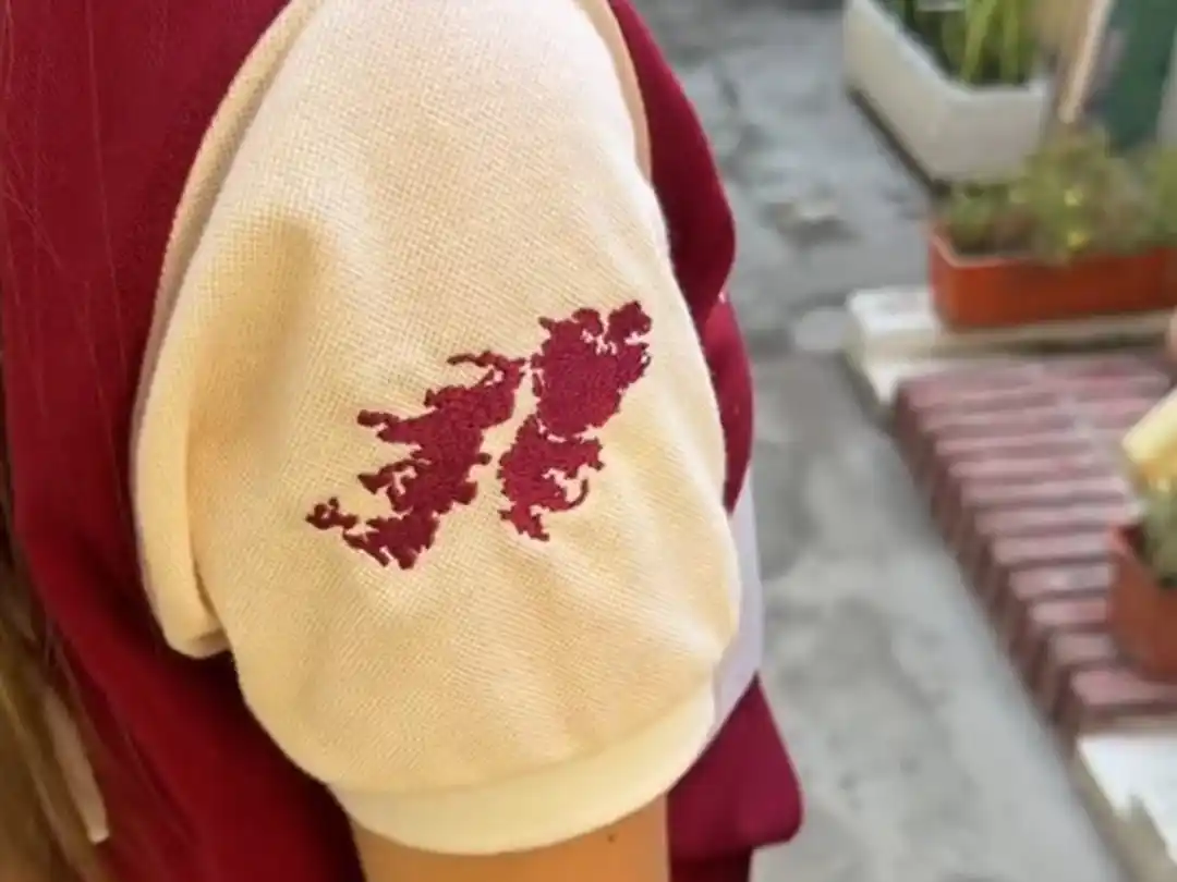 Una promo con memoria: egresados eligieron llevar las Malvinas en sus remeras