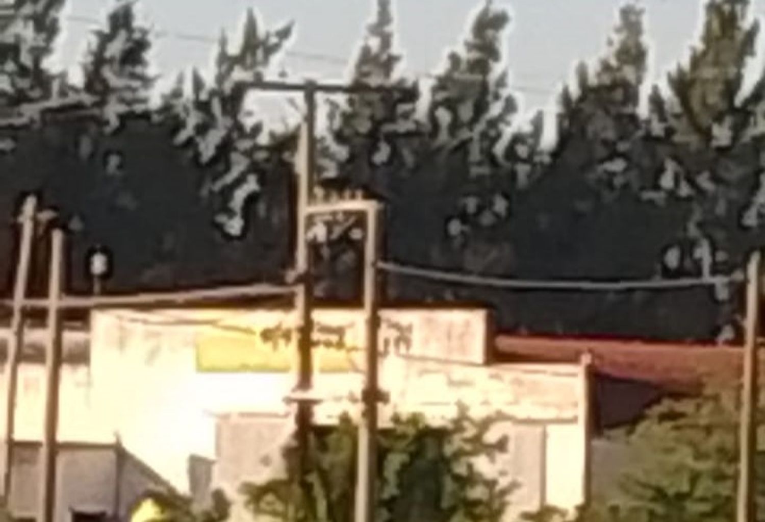 Estaba mirando televisión y se cortó la luz y porque querían robar el transformador