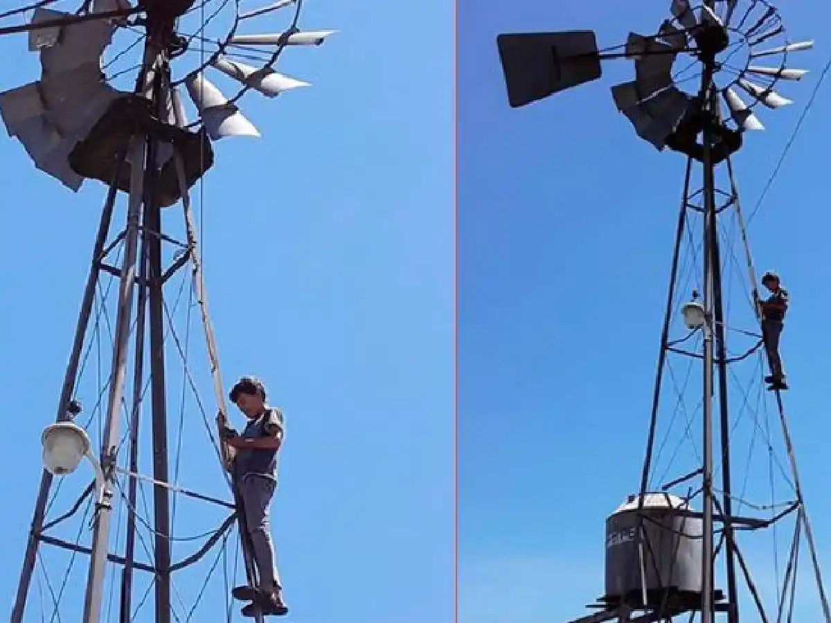 Tiene 13 años, se sube a un molino para tener señal de Internet y enviar su tarea de colegio