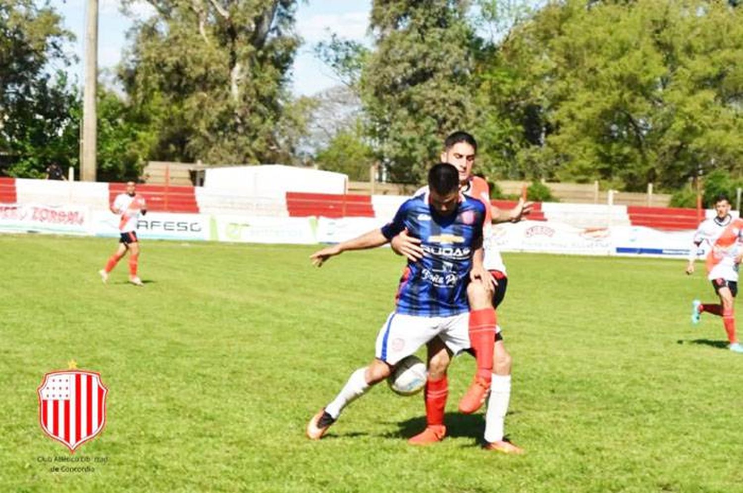 Libertad empató en el clásico frente a Colegiales