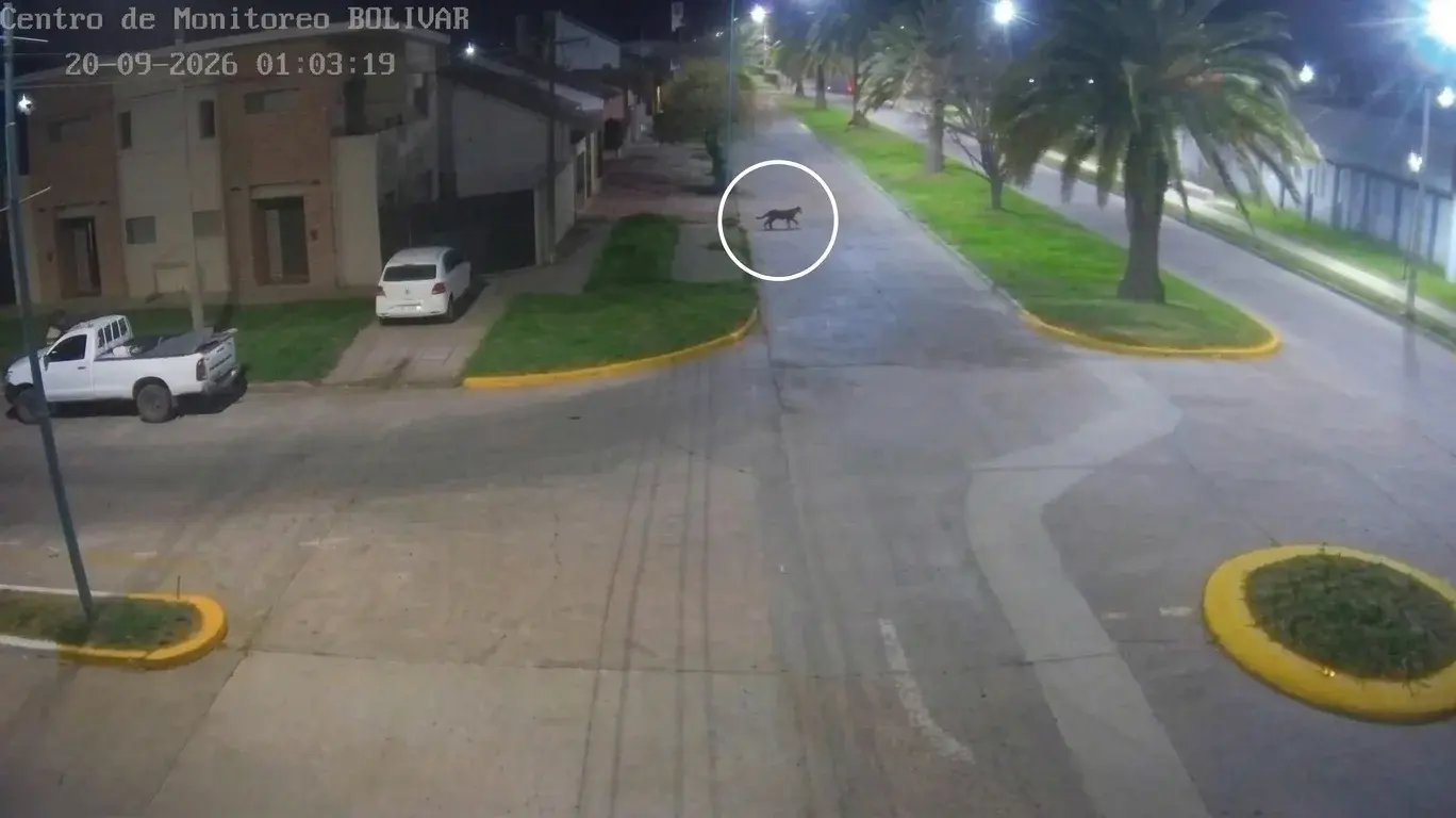Captura de video de cámara de seguridad